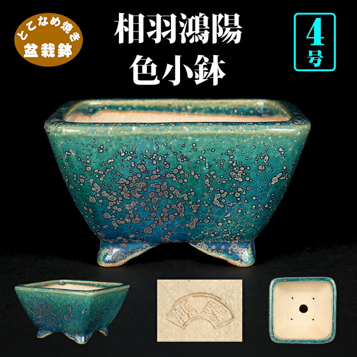 鴻陽　盆栽鉢 盆栽鉢 常滑 晃 6 樹晃 鴻陽陶園 小型 長辺 約15.6