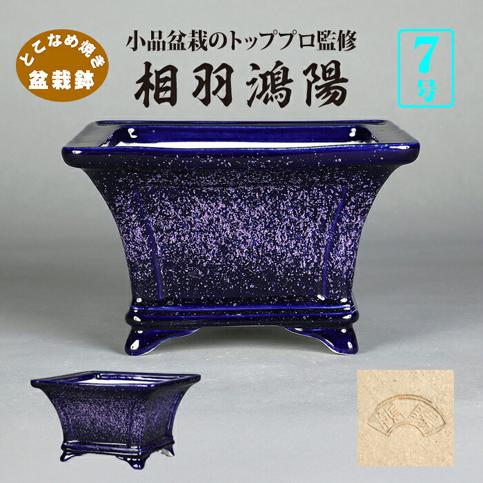 盆栽鉢 鴻陽瑠璃ピンク結晶釉額面正方鉢 色鉢 相羽鴻陽 常滑 落款あり ネイビー ピンク 7号 20cm 雑木盆栽 小品盆栽 ミニ盆栽に最適