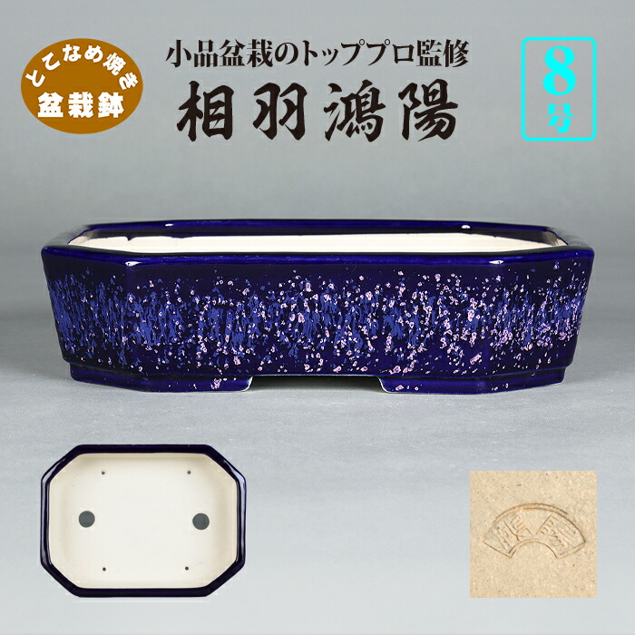 楽天市場】盆栽鉢 鴻陽 隅切り長方鉢 63 【作家鉢 常滑焼 日本鉢 盆栽