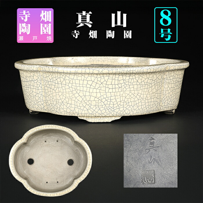 楽天市場】盆栽鉢 真山織部釉楕円鉢 植木鉢 寺畑陶園 寺畑真山 まざん