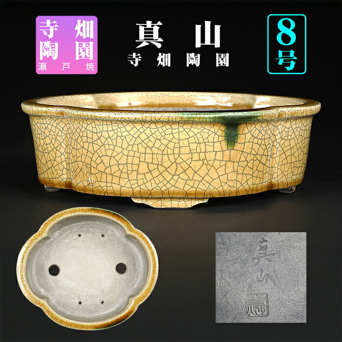 楽天市場】盆栽鉢 真山織部釉木瓜式鉢 植木鉢 寺畑陶園 寺畑真山 ま