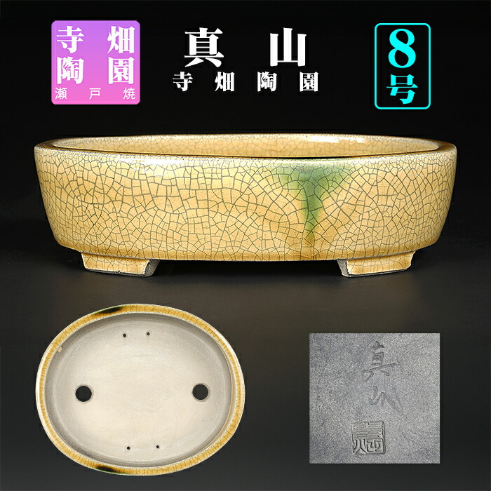 楽天市場】盆栽鉢 真山織部釉木瓜式鉢 植木鉢 寺畑陶園 寺畑真山 ま