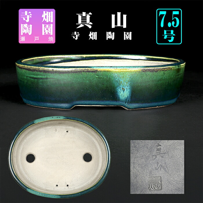 楽天市場】盆栽鉢 真山織部釉木瓜式鉢 植木鉢 寺畑陶園 寺畑真山 ま