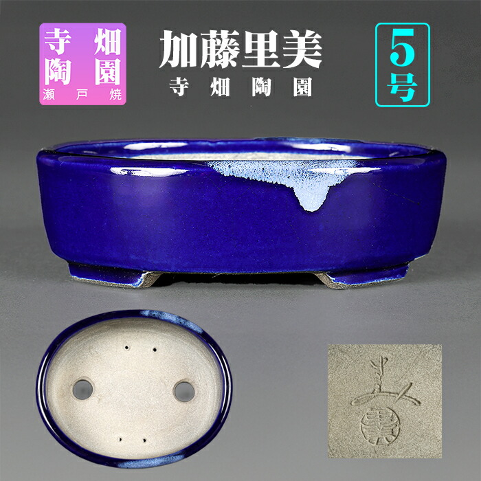 楽天市場】盆栽鉢 真山織部釉楕円鉢 植木鉢 寺畑陶園 寺畑真山 まざん