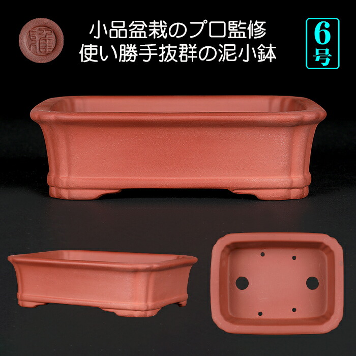 楽天市場】盆栽鉢 銭号外縁雲足長方鉢 植木鉢 常滑 泥鉢 6号 朱泥 小品