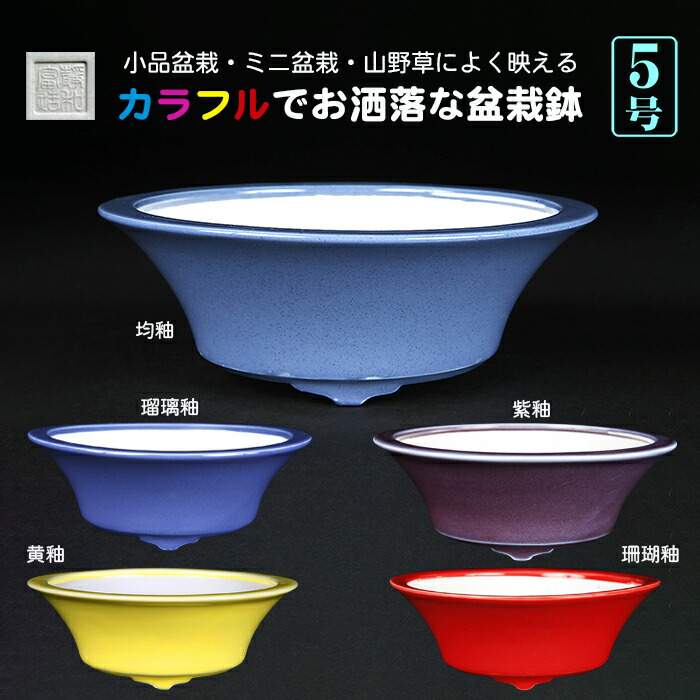 楽天市場】盆栽鉢 「紀伊染付山水図楕円鉢」 植木鉢 絵付鉢 作家鉢