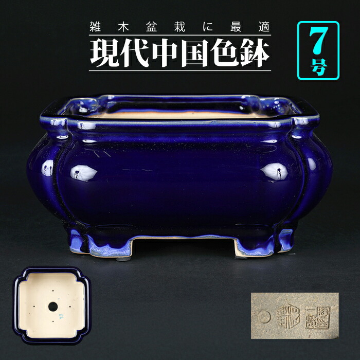 楽天市場】盆栽鉢 「東福寺白釉雲足長方鉢」 植木鉢 初代 平安東福寺