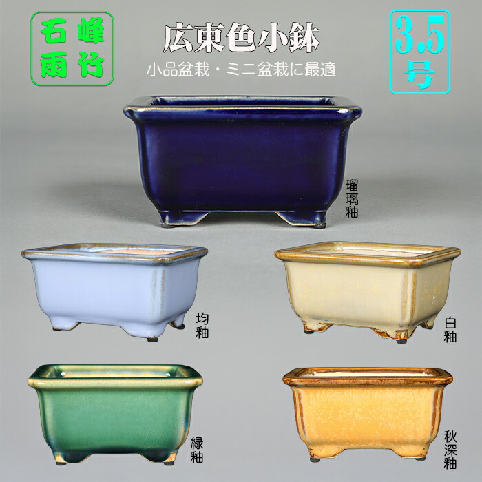 楽天市場】盆栽鉢 銭号外縁雲足長方鉢 植木鉢 常滑 泥鉢 6号 朱泥 小品