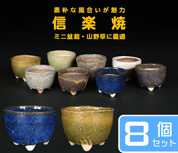 盆栽鉢 山野草鉢 「信楽焼楽風ミニ鉢8点セット」 植木鉢 陶器 2号 7cm 小品盆栽 ミニ盆栽 山野草に最適 【送料無料】