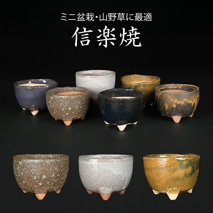 盆栽鉢 山野草鉢 「信楽焼楽風ミニ鉢6点セット」 植木鉢 陶器 3号 10cm 小品盆栽 ミニ盆栽 山野草に最適 【送料無料】
