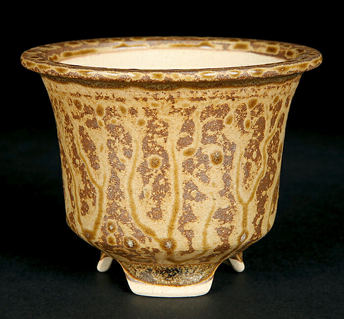 楽天市場】盆栽鉢 「東福寺瑠璃釉楕円鉢」 植木鉢 初代 平安東福寺 登