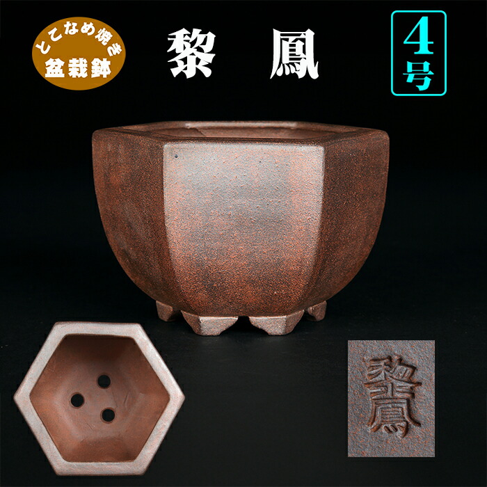 楽天市場】盆栽鉢 植木鉢 「黎鳳切立長方鉢」 常滑 片岡黎鳳 泥鉢 泥