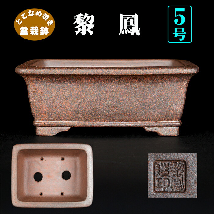 楽天市場】盆栽鉢 植木鉢 「黎鳳切立長方鉢」 常滑 片岡黎鳳 泥鉢 泥