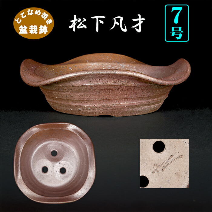 楽天市場】盆栽鉢 銭号外縁雲足長方鉢 植木鉢 常滑 泥鉢 6号 朱泥 小品