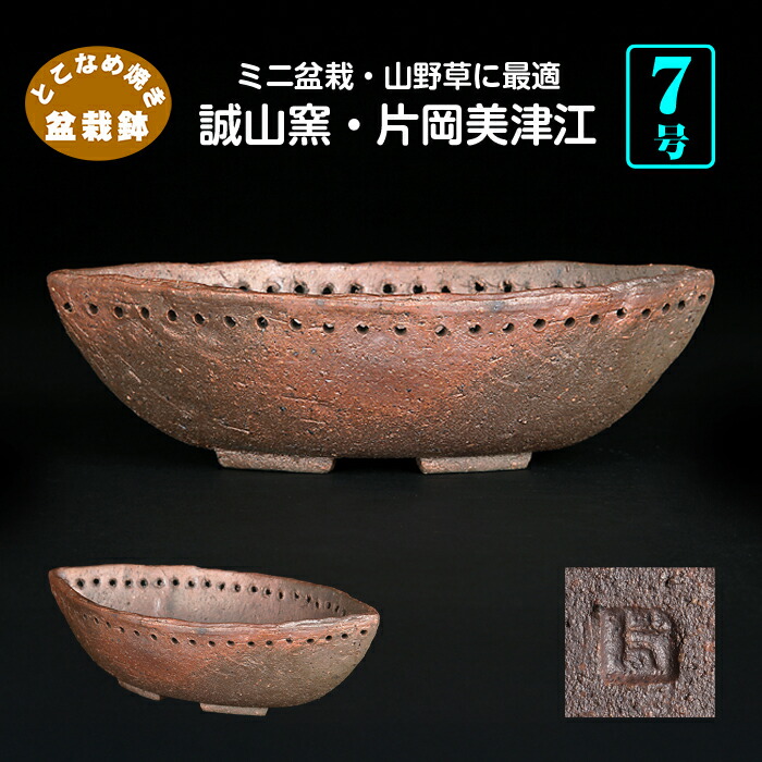 楽天市場】盆栽鉢 真山織部釉木瓜式鉢 植木鉢 寺畑陶園 寺畑真山 ま