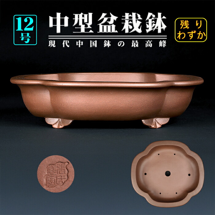 盆栽鉢　盆栽鉢　レアミニ盆栽鉢中國宜興朱泥袋式細長楕円小品11.5x6.5x3 楽天市場】盆栽鉢 朱泥袋式楕円鉢 植木鉢 中国鉢 張氏製陶 落款
