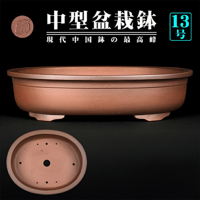 楽天市場】盆栽鉢 紫泥外縁下紐楕円鉢 植木鉢 中国鉢 張氏製陶 落款