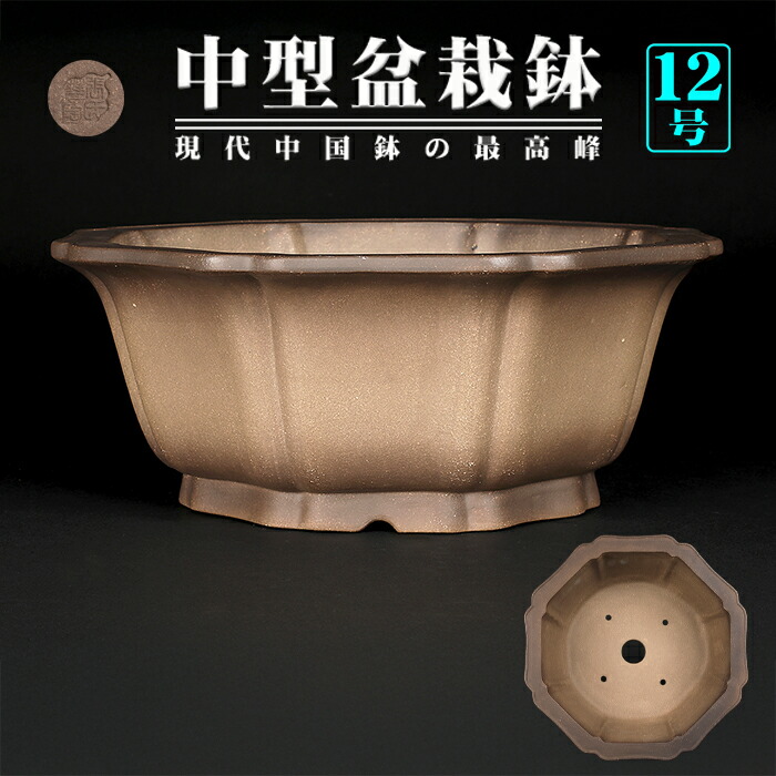 471 盆栽　盆栽鉢　植木鉢　中国鉢 支那鉢（中国古鉢） | 盆栽、盆栽書籍、盆栽鉢の通販│近代出版