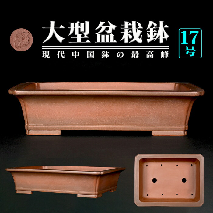 楽天市場】盆栽鉢 烏泥外縁胴紐楕円鉢 植木鉢 中国鉢 張氏製陶 落款