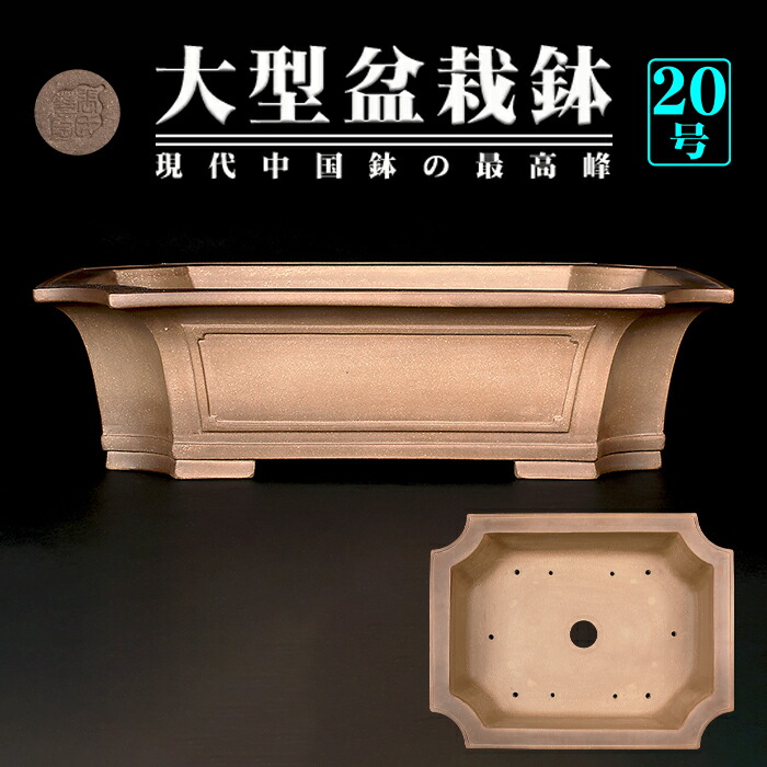 盆栽鉢　中国鉢 zz400gw_h.jpg