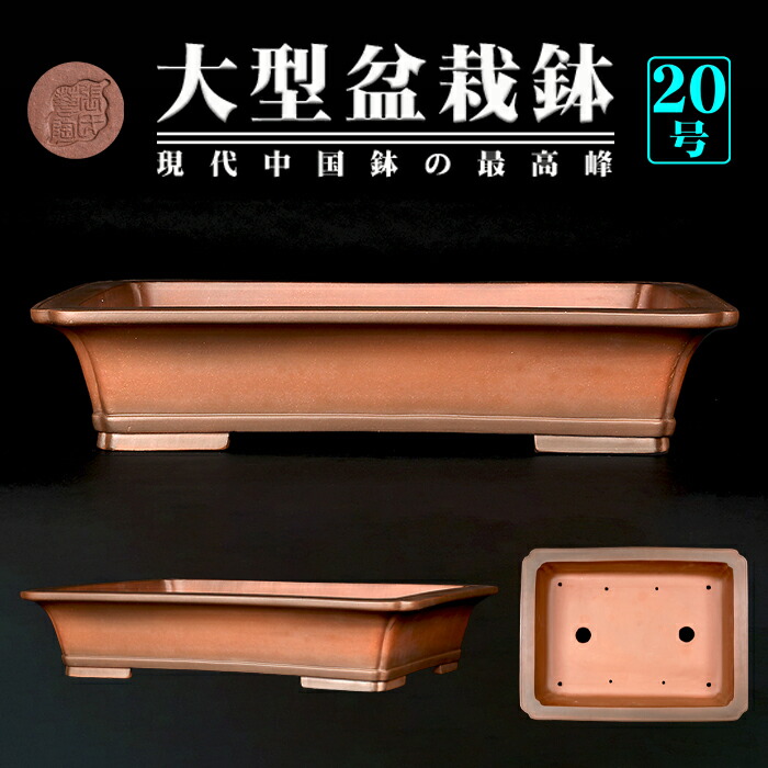 盆栽　鉢　中野裕士　幅43.6cm 盆栽 鉢 中野裕士 幅43.6cm 2025年最新】裕士 鉢の商品一覧