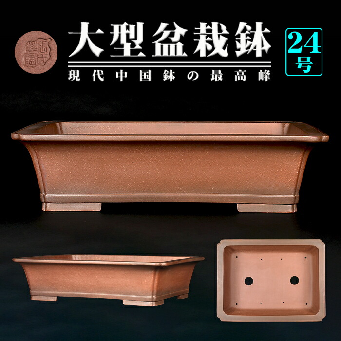 楽天市場】盆栽鉢 紫泥外縁隅切額面長方鉢 植木鉢 中国鉢 張氏製