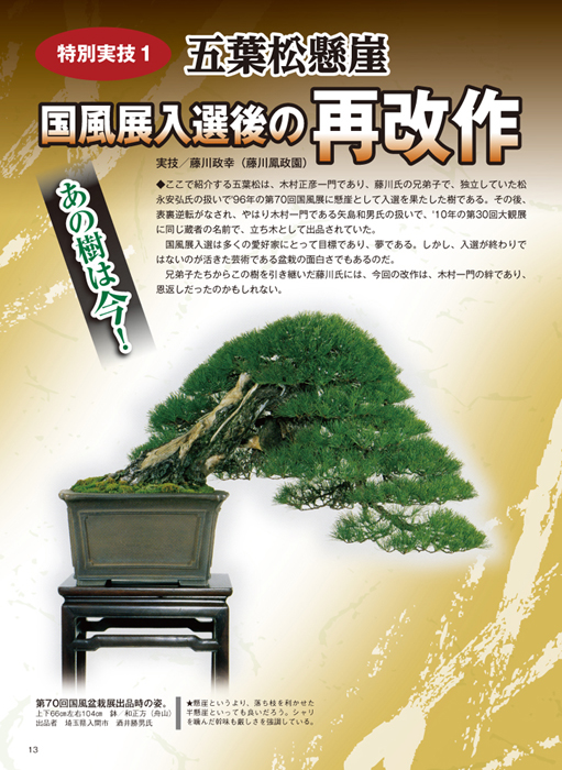 楽天市場 月刊 近代盆栽 21年１月号 Bonsai 彩都 楽天市場店