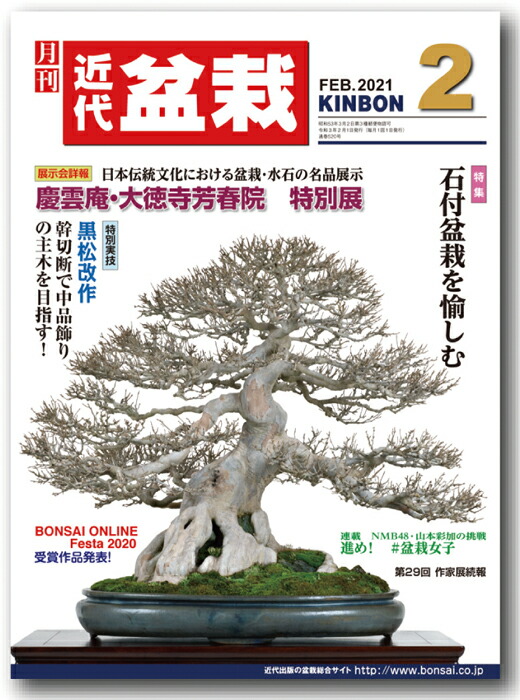 楽天市場 月刊 近代盆栽 21年２月号 Bonsai 彩都 楽天市場店