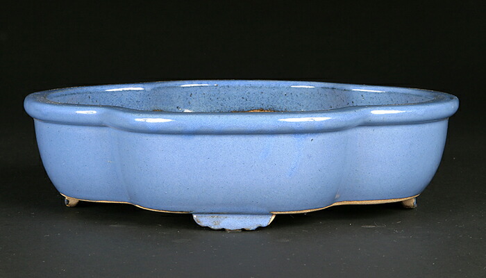 楽天市場】白交趾外縁下紐楕円鉢〔陶元交趾〕 : BONSAI 彩都 楽天市場店