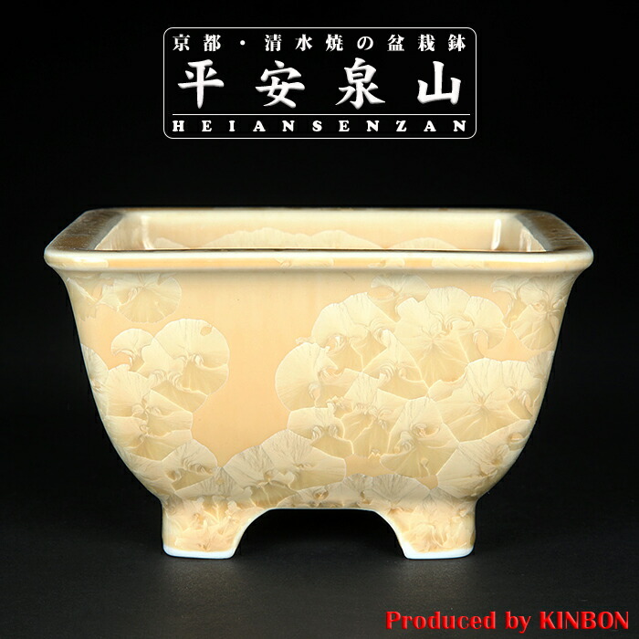 楽天市場】盆栽鉢 九谷焼 青粒鉄仙 4号 幅12.5cm×高さ7.8cm 陶器鉢