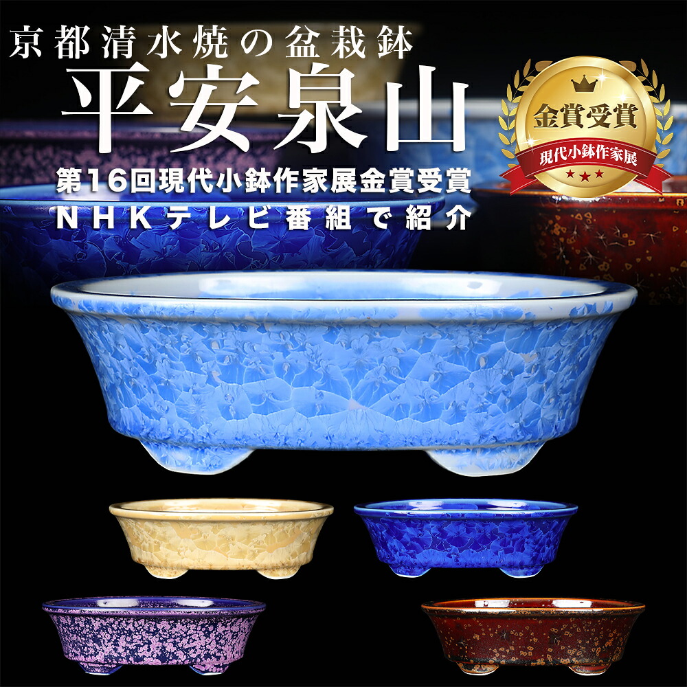盆栽鉢 京焼 清水焼 長閑やかさ泉山楕円面鉢6号 18珊 小品文盆栽 ミニ盆栽 鉢 陶あん 花たま物 星たま物 たま物釉 今めかしい 御前上等 小鉢 盆栽用鉢 和風 言い慣わし芸術 瀬戸もの 熱気焼成 思わしい 【貨物輸送無料】 絵書き鉢 一点物 見せびらかす用 扱い分かりやすい 差し上げ物 差し上げ物 和室 室内装飾