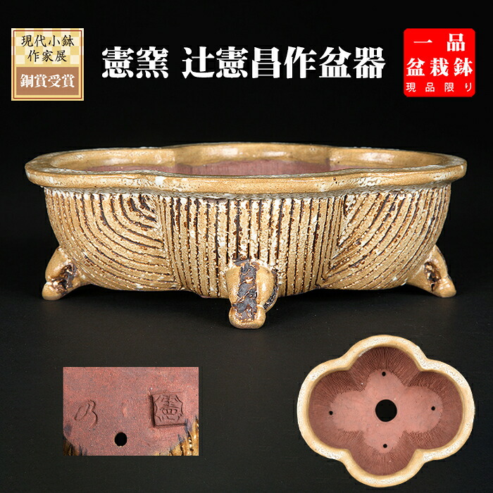 盆栽鉢 「憲窯木瓜式鉢」 植木鉢 辻憲昌 ケンヨウ 色鉢 陶器 ホワイト 6号 18cm 小品盆栽 ミニ盆栽に最適 現品限り 【送料無料】