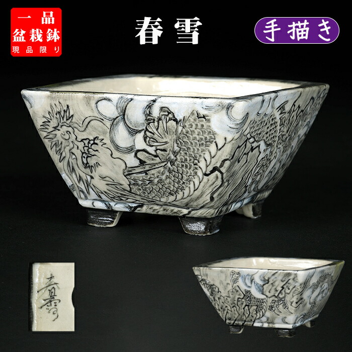 楽天市場】【盆栽鉢】 瀬戸 貞山造 外縁長方竜紋浮彫鉢 大中小3