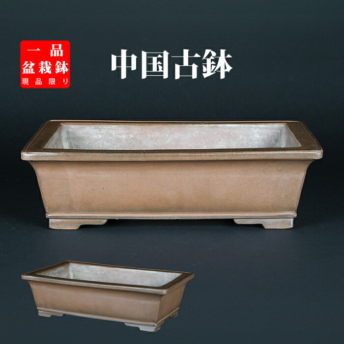 盆栽 樂屋】◇中野裕士 紫泥下帯長方鉢(時代・土味最高)