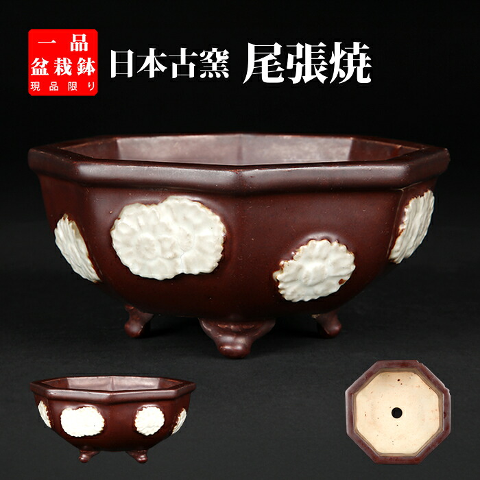 盆栽鉢 「尾張紫釉貼花文八角鉢」鉢 海門 瀬戸もの物 6号 18糎 紫 パープル  現品極限点【 貨物輸送無料】