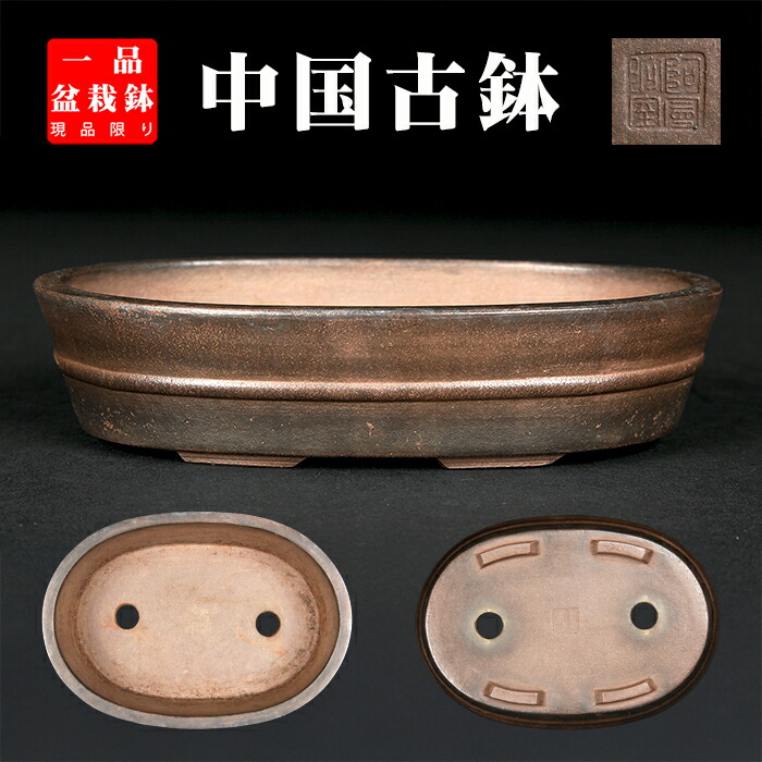 植木鉢　楕円形　徐錫義造　落款有　中古品　盆栽鉢　松　さつき　山野草　中国 植木鉢 楕円形 徐錫義造 落款有 中古品 盆栽鉢 松 さつき 山野草
