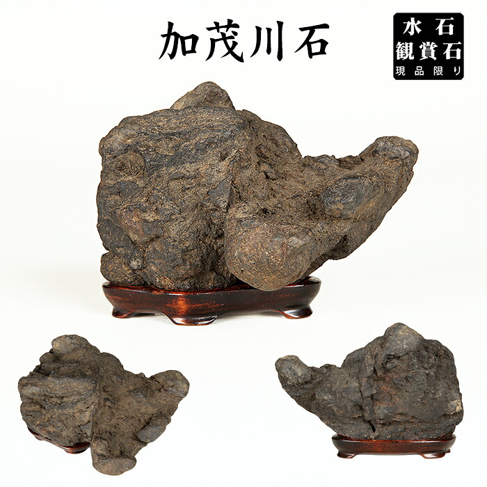 水石 「加茂川石」 盆石 天然石 かもがわ カモガワ すいせき 台座付き 現品限り 【送料無料】｜BONSAI 彩都　店