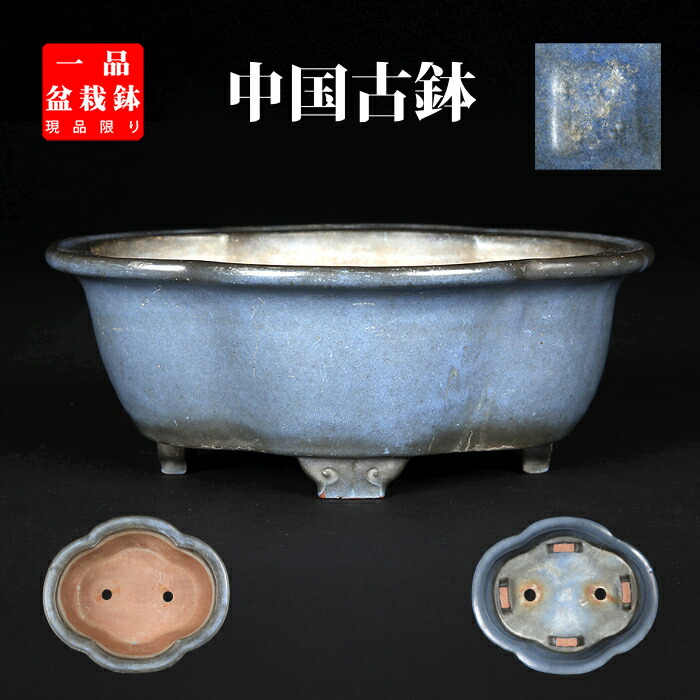 楽天市場】盆栽鉢 「壱興紅泥木瓜式鉢」 植木鉢 作家鉢 一弘 壱