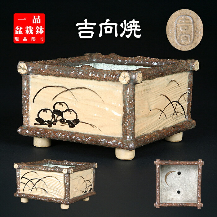 盆栽鉢 吉向焼絵付四角四面鉢 鉢 吉向松月窯 吉向窯 5号 14珊 雑木盆栽 中品盆栽に至適