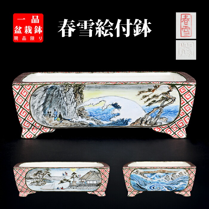 盆栽鉢 春雪彩画長方鉢 鉢 絵付 シュンセツ 瀬戸もの 5号 15糎 小品文盆栽 ミニ盆栽に至適 現品区分線 【貨物輸送無料】 ガーデニング・農業-植木鉢