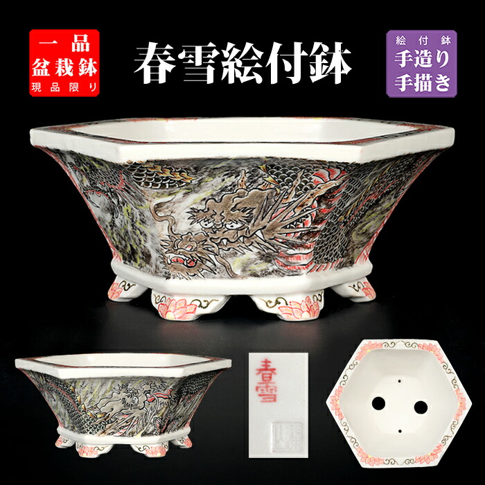 盆栽鉢 春雪彩画龍図六角鉢 絵付鉢 シュンセツ 墨付き 瀬戸もの 5号 16珊 小品文盆栽 ミニ盆栽に至適 現品境界線