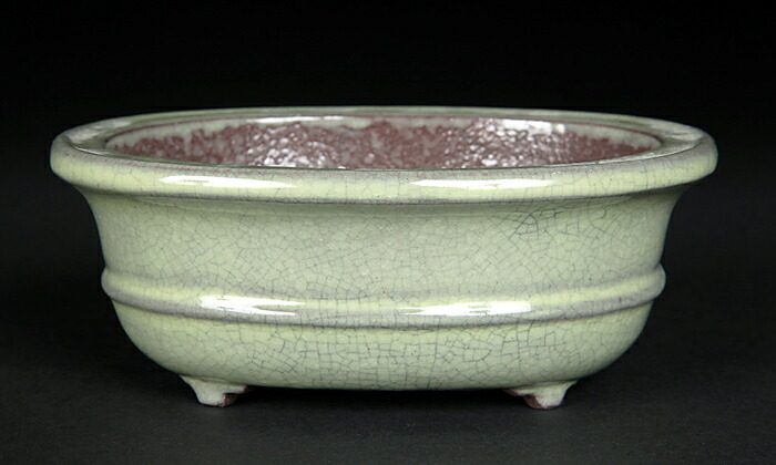 楽天市場】盆栽鉢 植木鉢 「白均釉外縁下紐楕円鉢」 中国鉢 色鉢 陶器