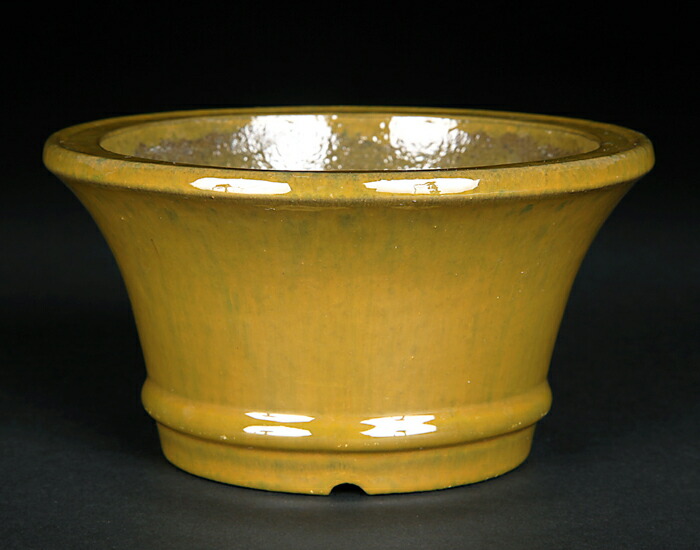 楽天市場】盆栽鉢 植木鉢 「白均釉外縁下紐楕円鉢」 中国鉢 色鉢 陶器