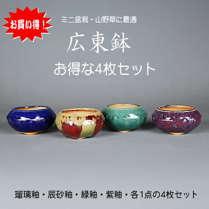 中国鉢、ミニ鉢、盆栽鉢、盆栽小鉢、鉢、植木鉢、山野草鉢、蘭鉢、盆栽 楽天市場】【盆栽鉢】 中国鉢/ミニ長方鉢5枚セット 【ミニ鉢