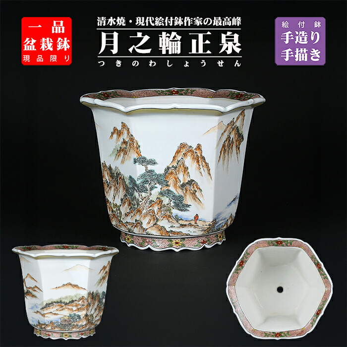 盆栽鉢 月之輪正泉五彩訪友図輪花縁六角鉢 絵付鉢 色絵 京焼 清水焼 8号 25cm 中品盆栽に最適 現品限り 【送料無料】