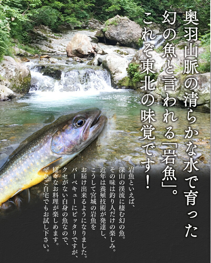 楽天市場 岩魚10尾 東北の渓流を感じる幻の魚を食卓に バーベキューに 贈り物にも 梵天食堂 楽天市場店