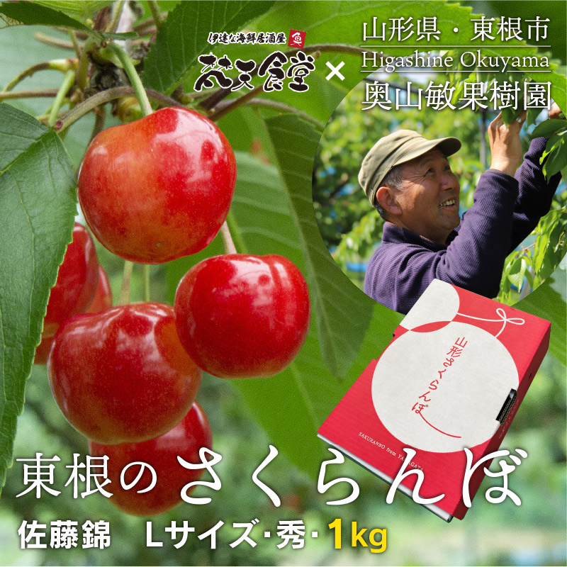 山形県東根市庭のさくらんぼ 佐藤錦l大きさ以上 秀品 Kg 送料無料 現今借り切る容認真只中 6 節から順次探検いたします Asavrubi Org