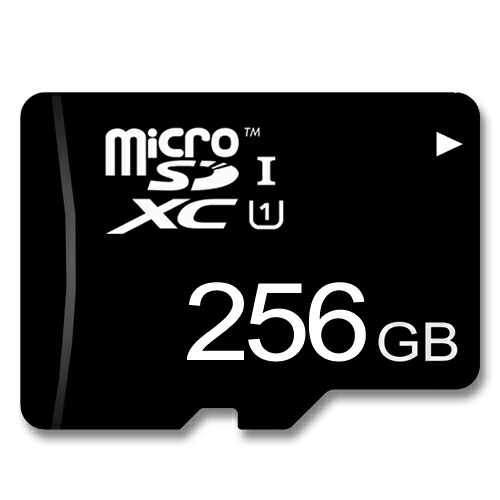 ヒッポファミリークラブ スタンダードプラス SDカード SD10 1枚 2025年最新】ヒッポファミリークラブ sdの人気アイテム - メルカリ