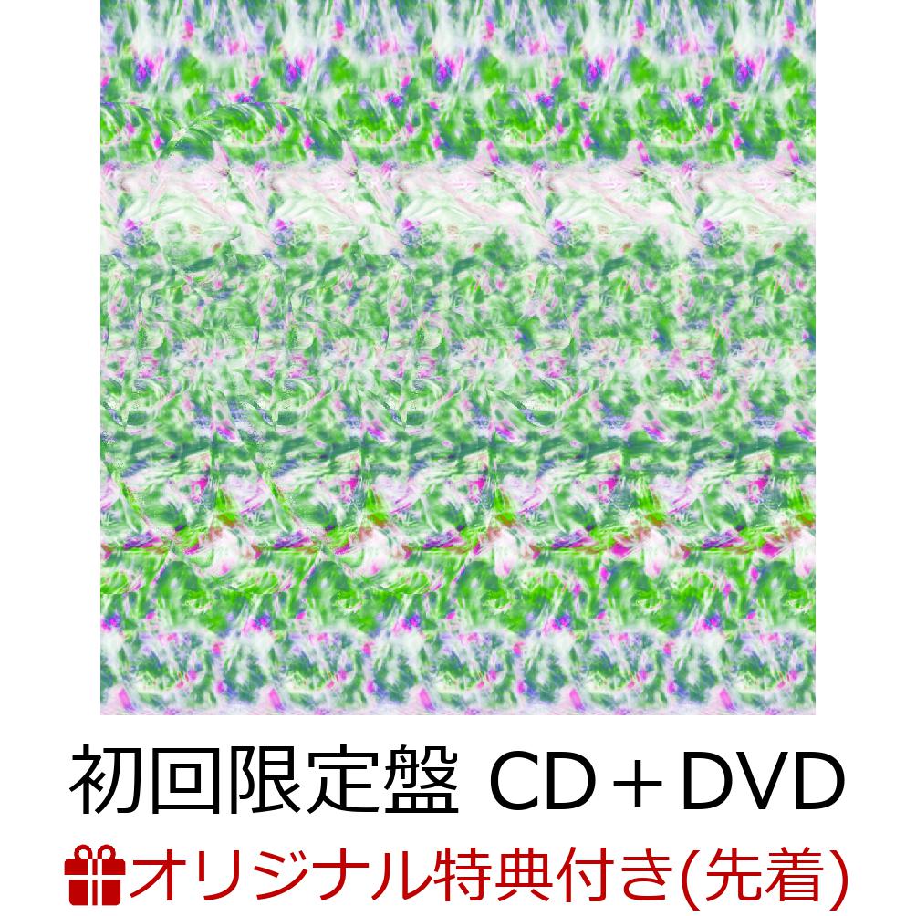 ڳŷ֥åŵۥȥХ(CDDVD)(ꥸʥ륫ӥ)[Tempalay]