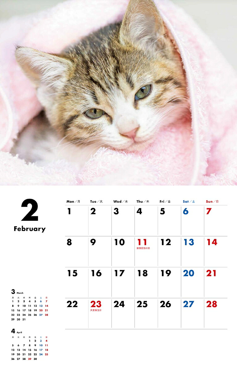 にゃんこカレンダー（［カレンダー］）